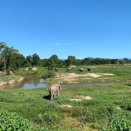 I love phants Lodge Ban Huai Thawai Extérieur photo