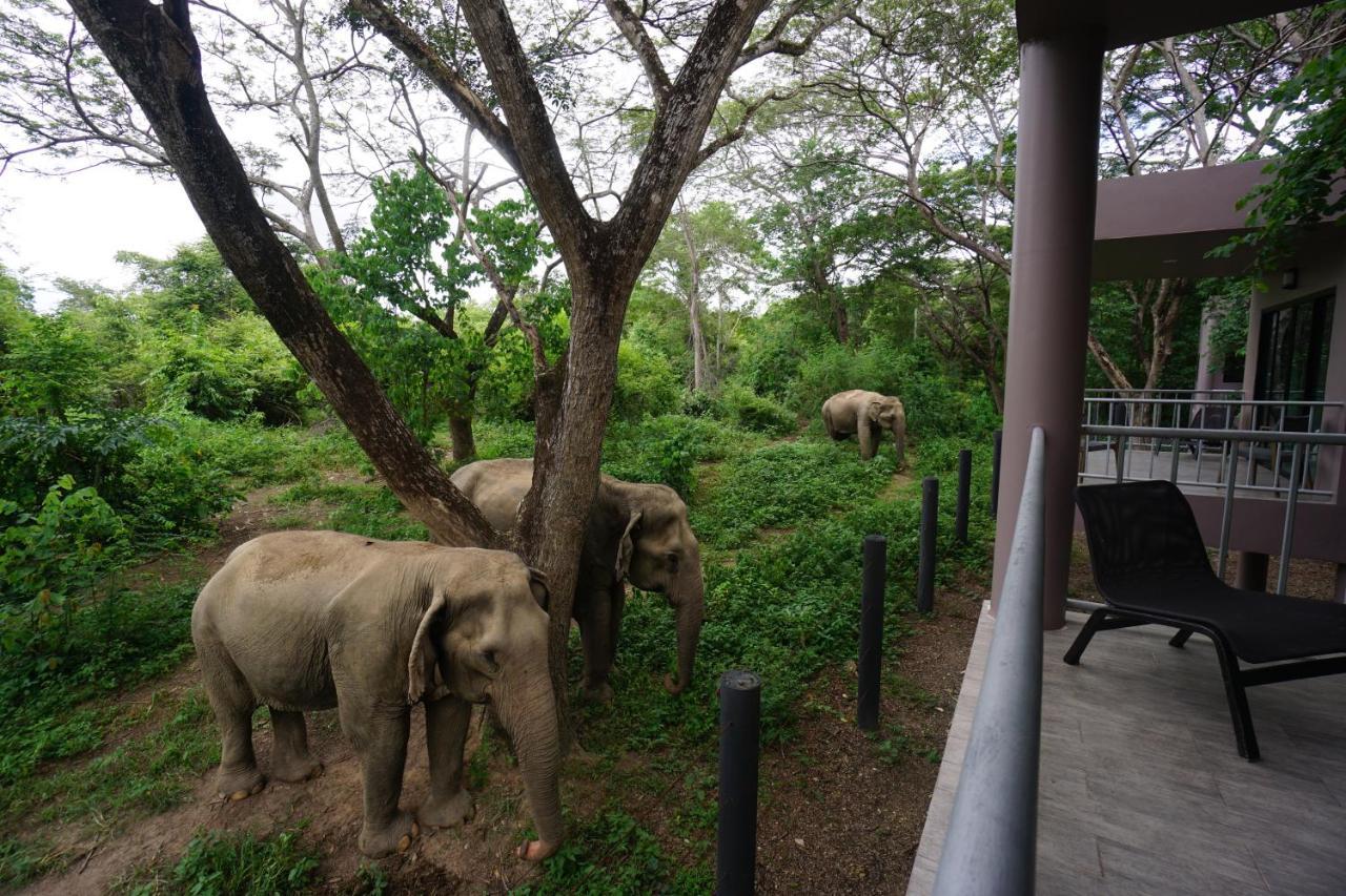 I love phants Lodge Ban Huai Thawai Extérieur photo