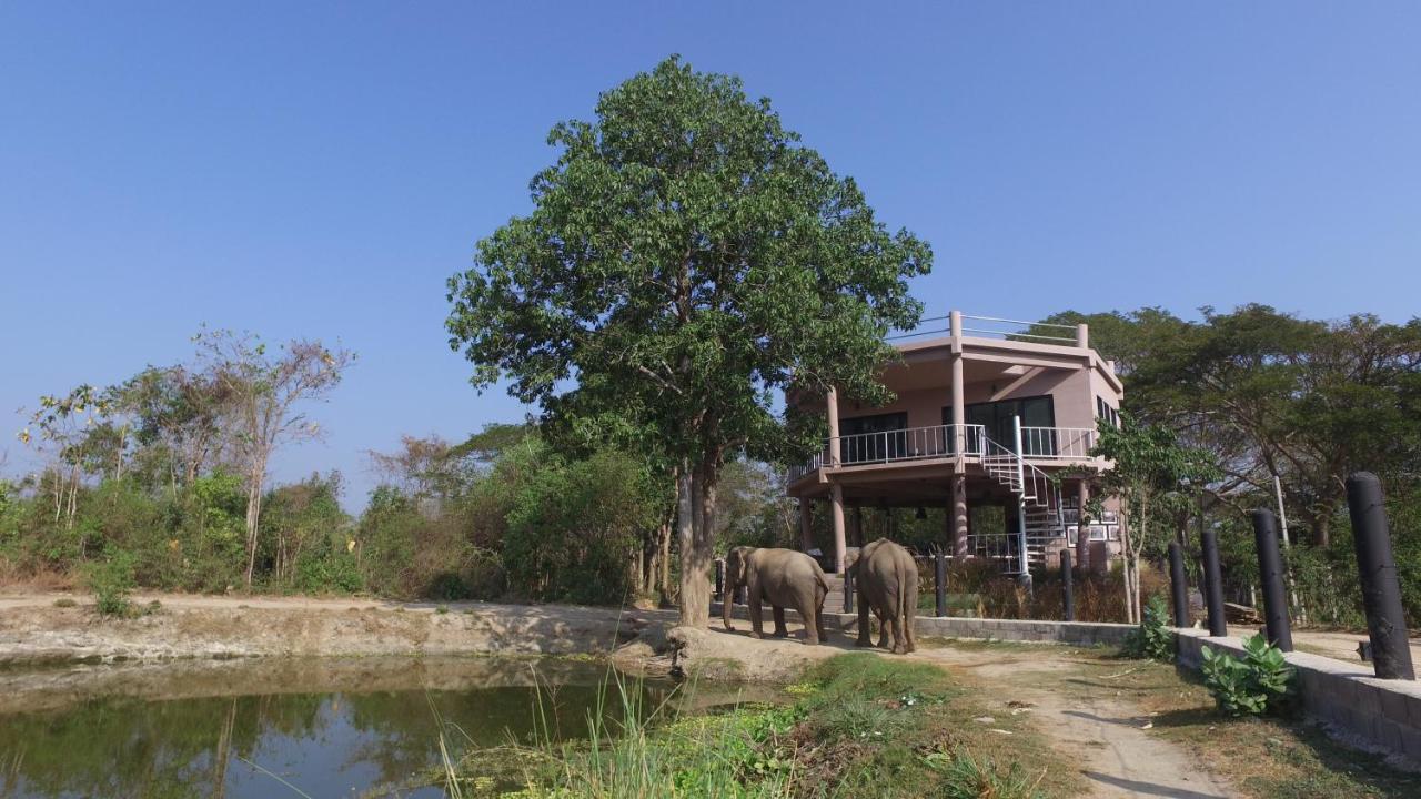 I love phants Lodge Ban Huai Thawai Extérieur photo