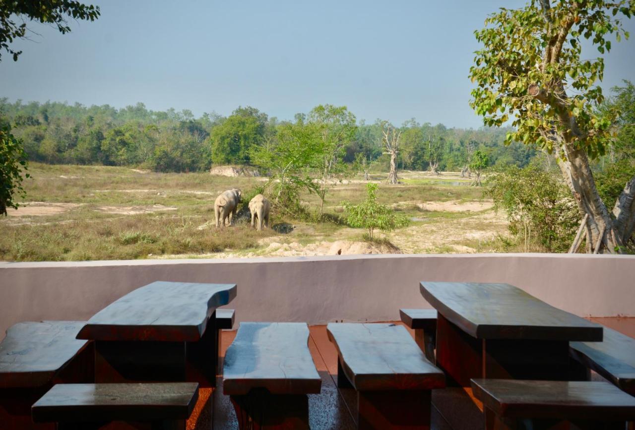 I love phants Lodge Ban Huai Thawai Extérieur photo