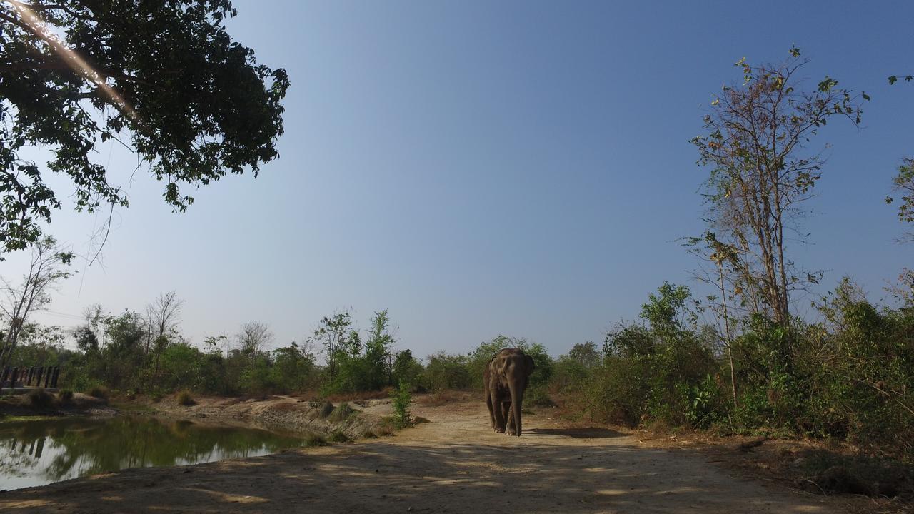 I love phants Lodge Ban Huai Thawai Extérieur photo