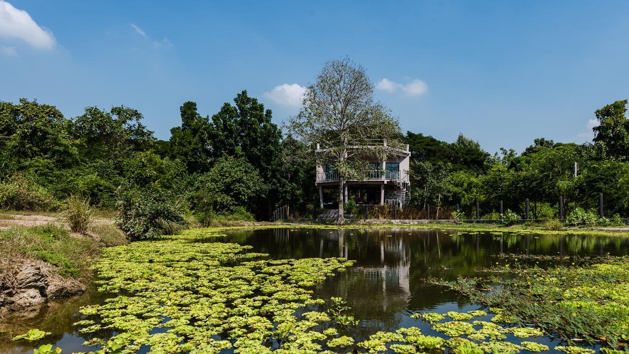 I love phants Lodge Ban Huai Thawai Extérieur photo